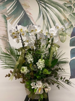 Aranjman şeklinde orkide